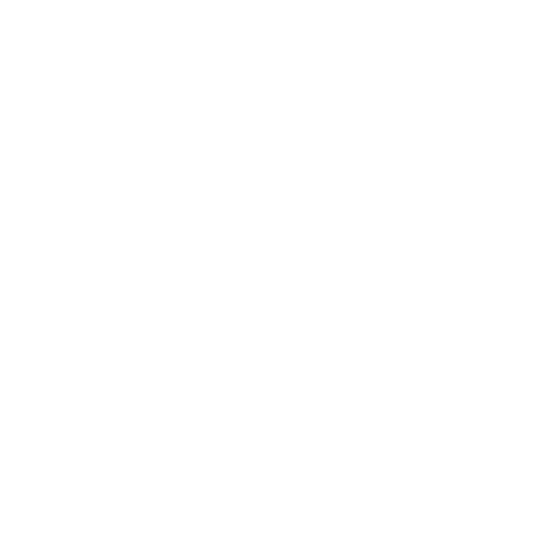 VDS Logo white